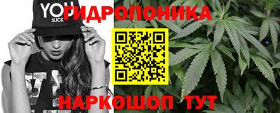 не бодяженный Новозыбков