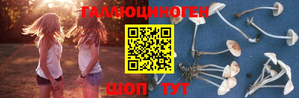Томск  Псилоцибиновые грибы Psilocybe  цена   Вход с VPN 